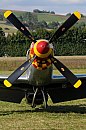 hilzingen_08_11.jpg