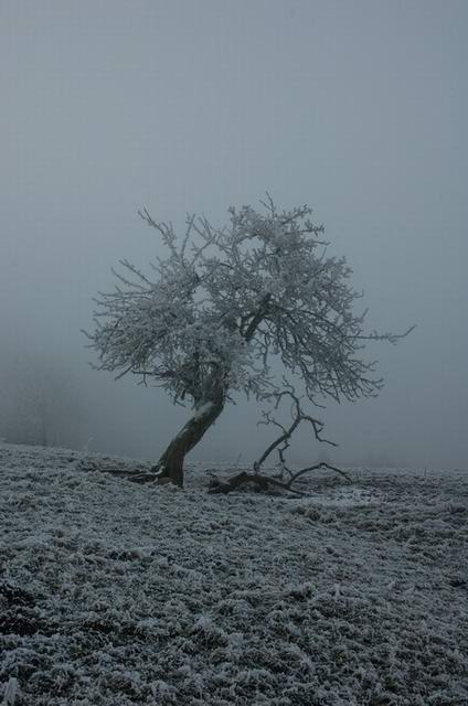 landschaft_05.jpg