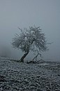 landschaft_05.jpg